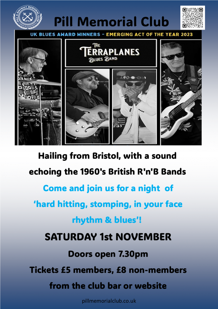 The Terraplanes Blues Band